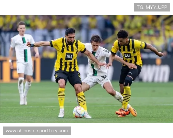 法兰克福3-0完胜门兴,布朗、阿迈莫尼、克瑙夫分别建功 法兰克福3-0完胜门兴,布朗、阿迈莫尼、克瑙夫分别建功